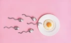 غذاهای مفید برای تقویت تخمک