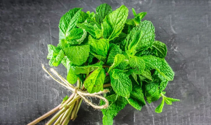 Mint effective on ovarian function Consuming mint improves polycystic ovaries.