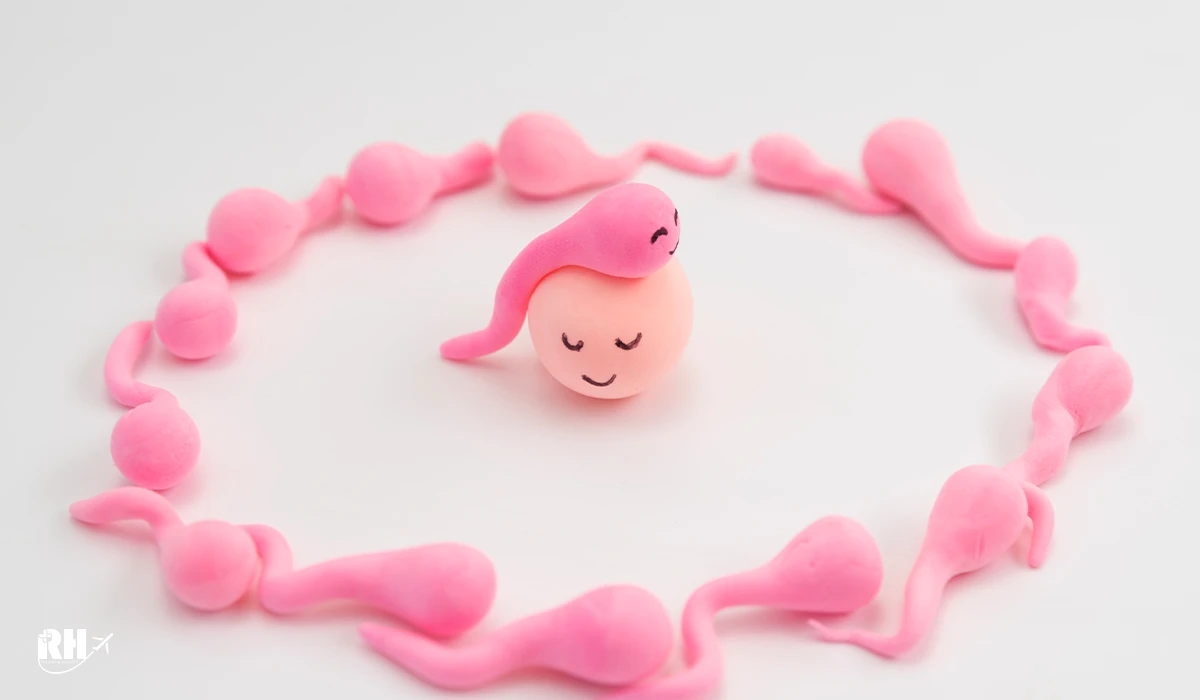 بارداری با IVF و تخمک اهدایی، روشی نوین و امیدبخش برای درمان ناباروری بارداری با IVF و تخمک اهدایی، روشی نوین و امیدبخش برای درمان ناباروری