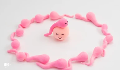 بارداری با IVF و تخمک اهدایی، روشی نوین و امیدبخش برای درمان ناباروری بارداری با IVF و تخمک اهدایی، روشی نوین و امیدبخش برای درمان ناباروری