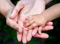 Egg Donation in Iran