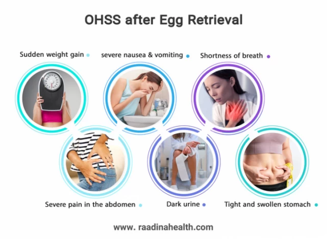 What to Do After Egg Retrieval What to Avoid Raadina Health