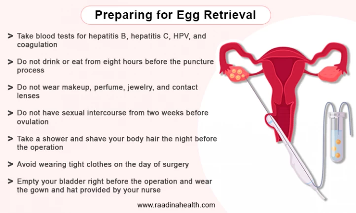 What to Do After Egg Retrieval What to Avoid Raadina Health