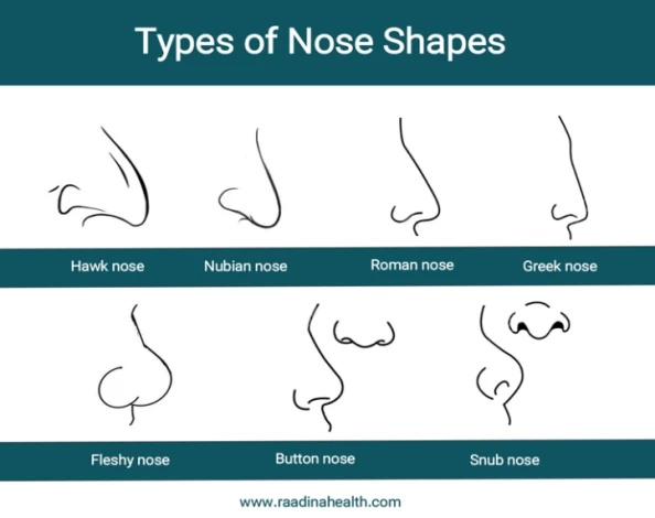 types of nose shape