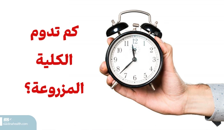 كم تدوم الكلية المزروعة؟