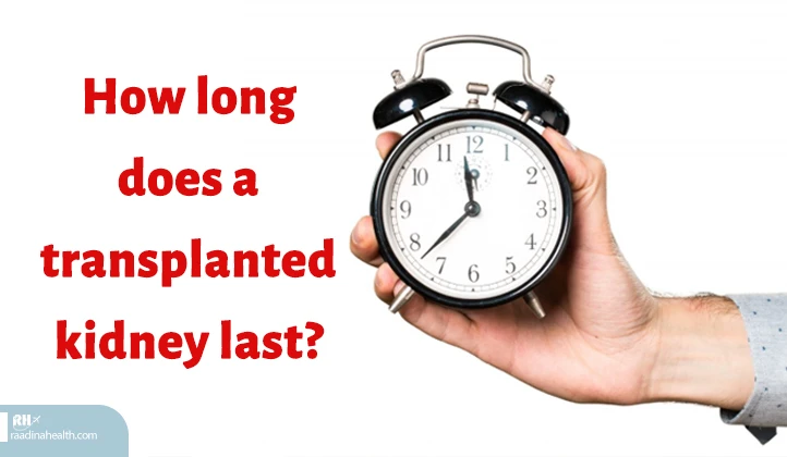 How long does a transplanted kidney last?