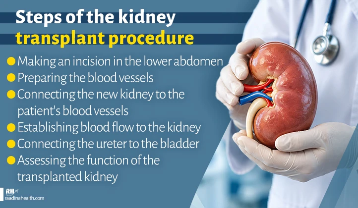 Stages of the kidney transplant procedure