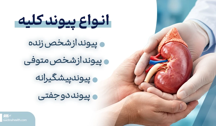 انواع پیوند کلیه