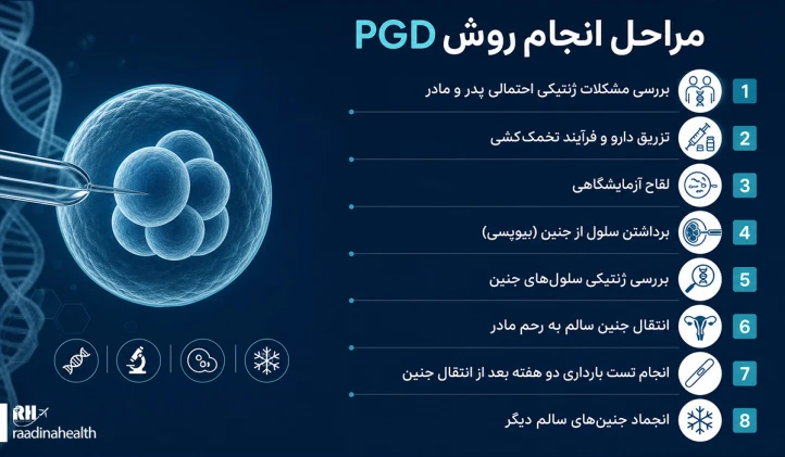 مراحل انجام روش PGD