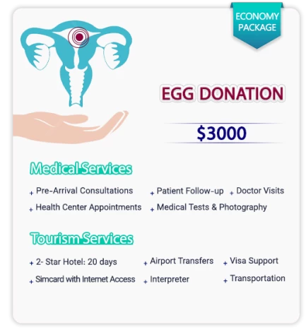 Egg Donation in Iran