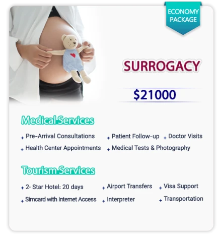 Surrogacy in Iran